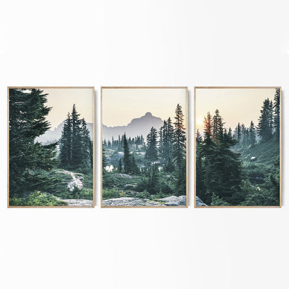 Pine Tree Nature Landscape Canvas Art