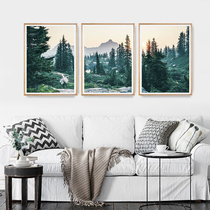 Pine Tree Nature Landscape Canvas Art