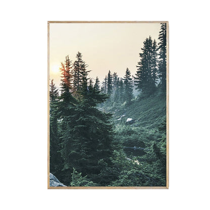 Pine Tree Nature Landscape Canvas Art