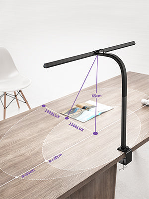 Architect Desk Lamp