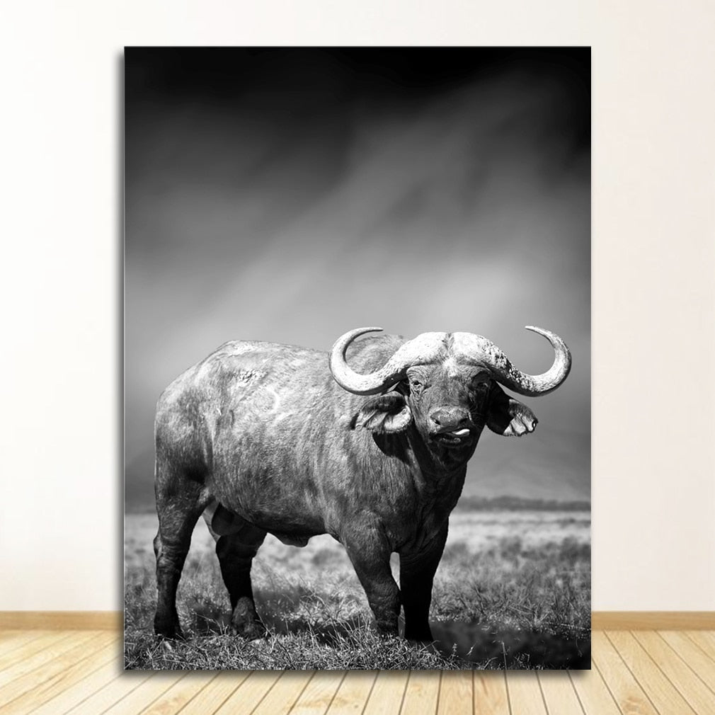 Black and White Animal Wall Art Canvas