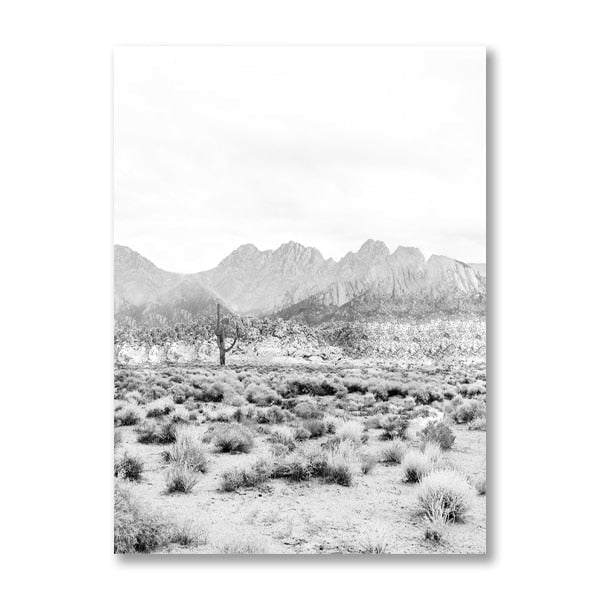 Black And White Cactus Desert Canvas Art