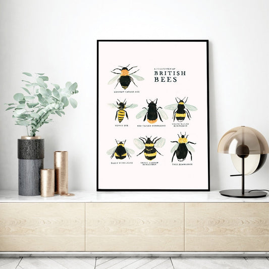 A Collection Of British Bees Canvas Art