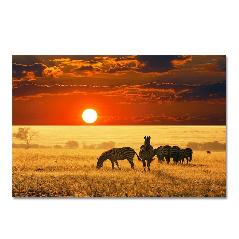 African Zebra Sunset Canvas Art