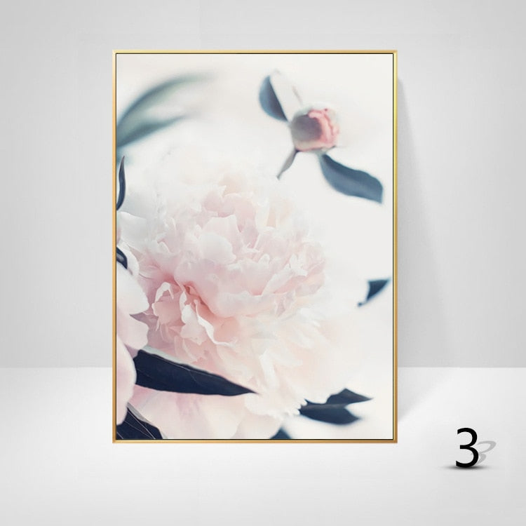 White Pink Peony Canvas Art