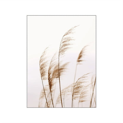 Grassland Lion Dandelion Canvas Art