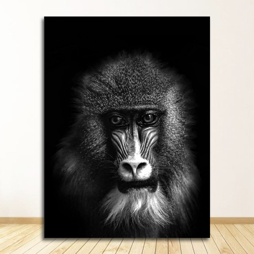 Black and White Animal Wall Art Canvas