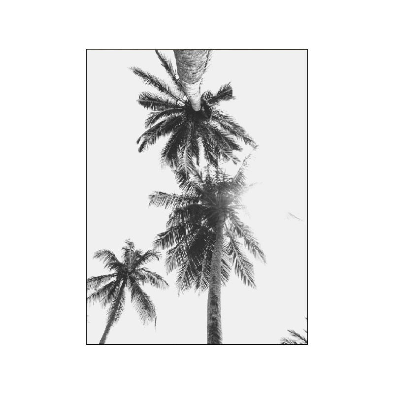 Black And White Palm Tree Canvas