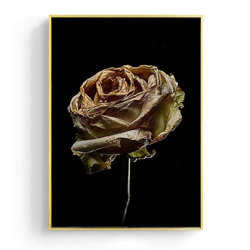 Withered Rose Canvas Art