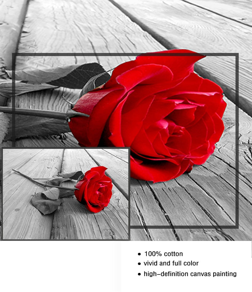 Red Rose Canvas Art