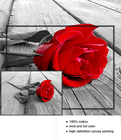 Red Rose Canvas Art