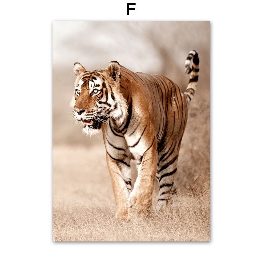 African Savanna Animals Canvas Art