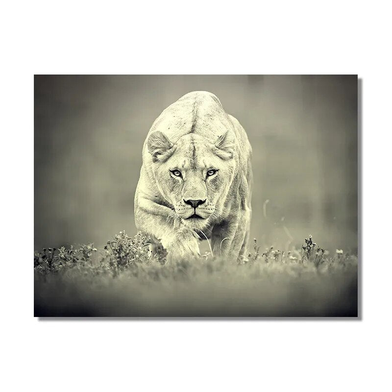 Black and White Ferocious Lioness Wall Art Canvas