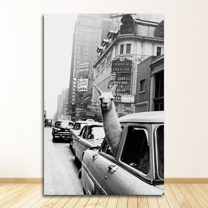 Black and White Alpaca in the Car Canvas Art