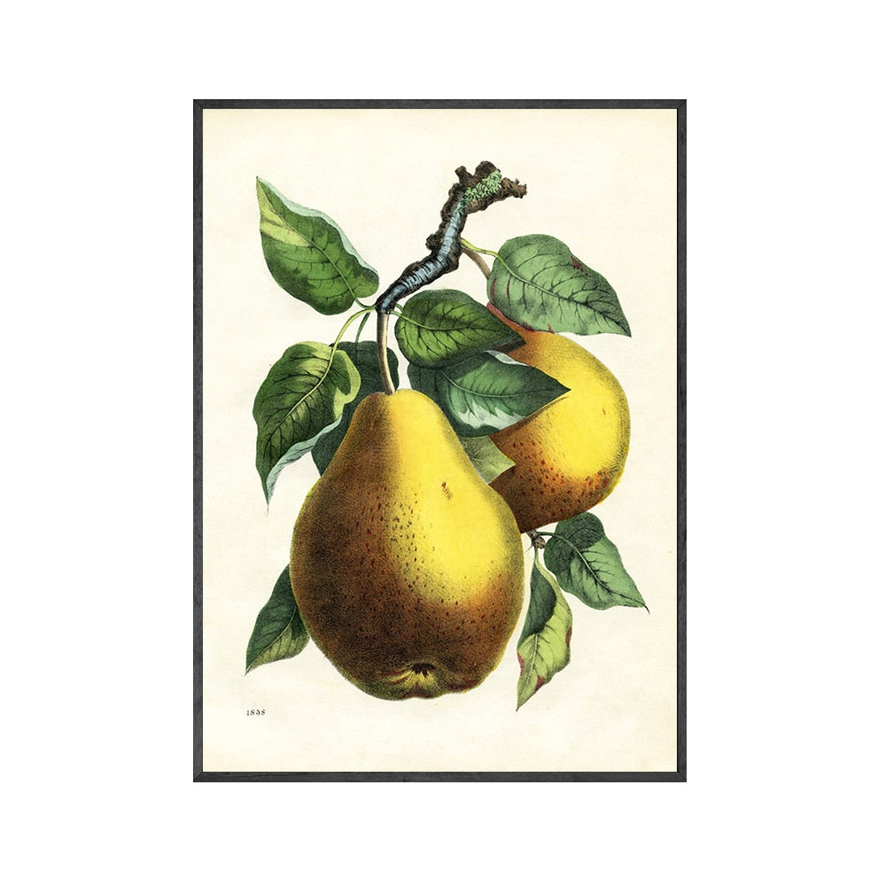 Lemon Vintage Botanical Canvas Art