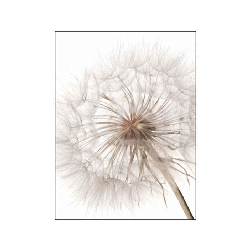 Grassland Lion Dandelion Canvas Art