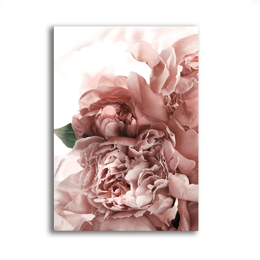 Red Flower Peony Rose Canvas Art