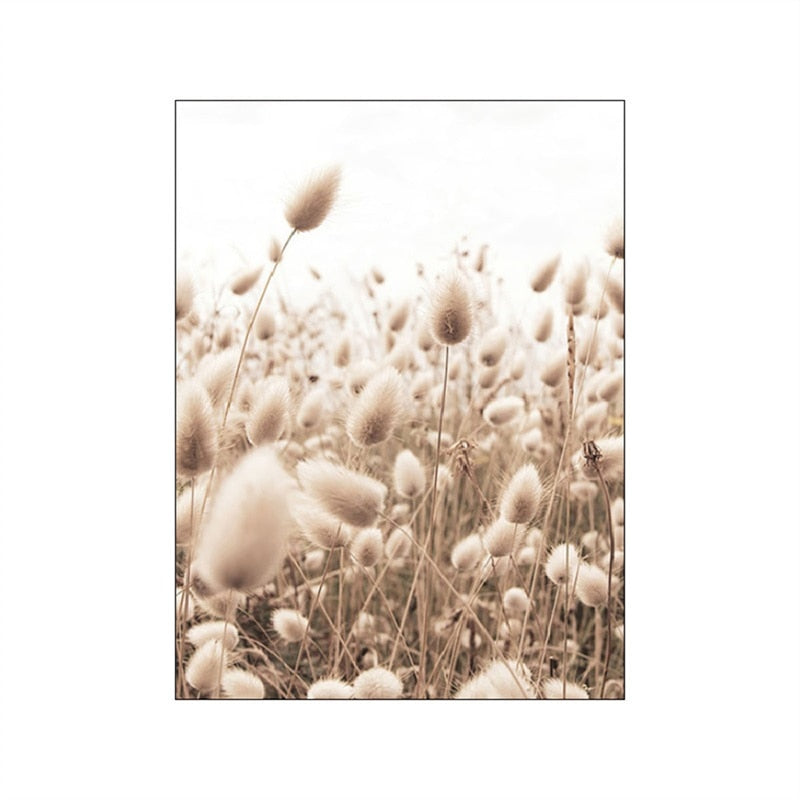 Grassland Lion Dandelion Canvas Art