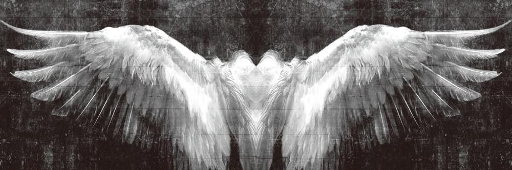 Black And White Angel Wings Wall Art Canvas