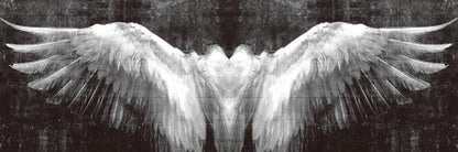 Black And White Angel Wings Wall Art Canvas