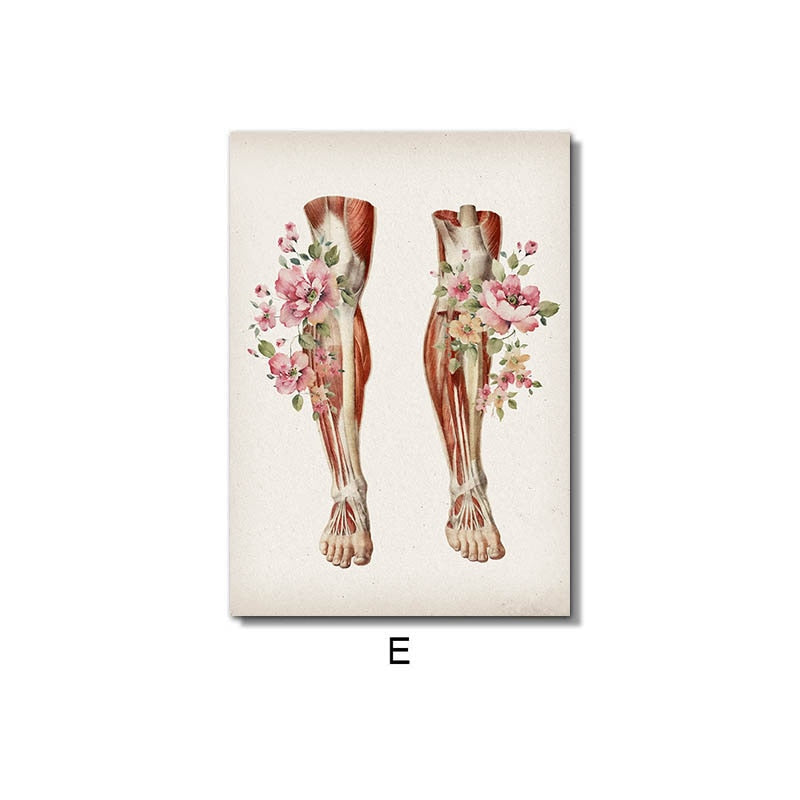 Floral Skeletal Muscle Anatomy Canvas Art