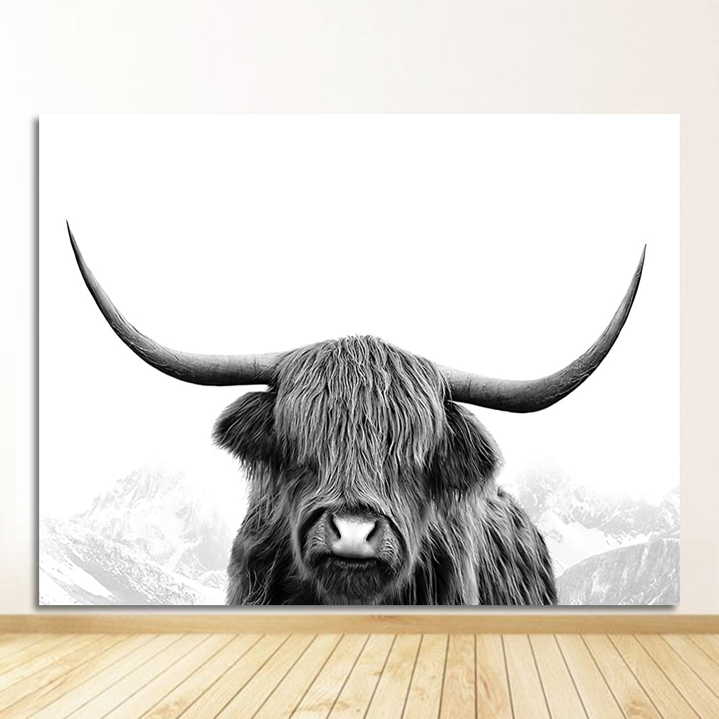 Black and White Yak Highland Cow Canvas Art