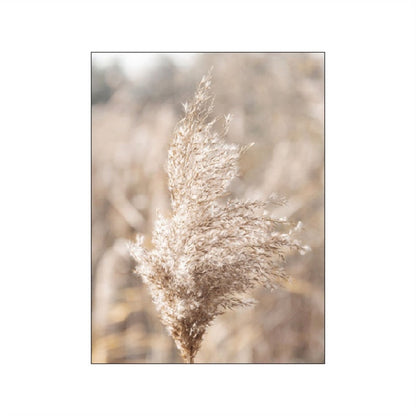 Grassland Lion Dandelion Canvas Art