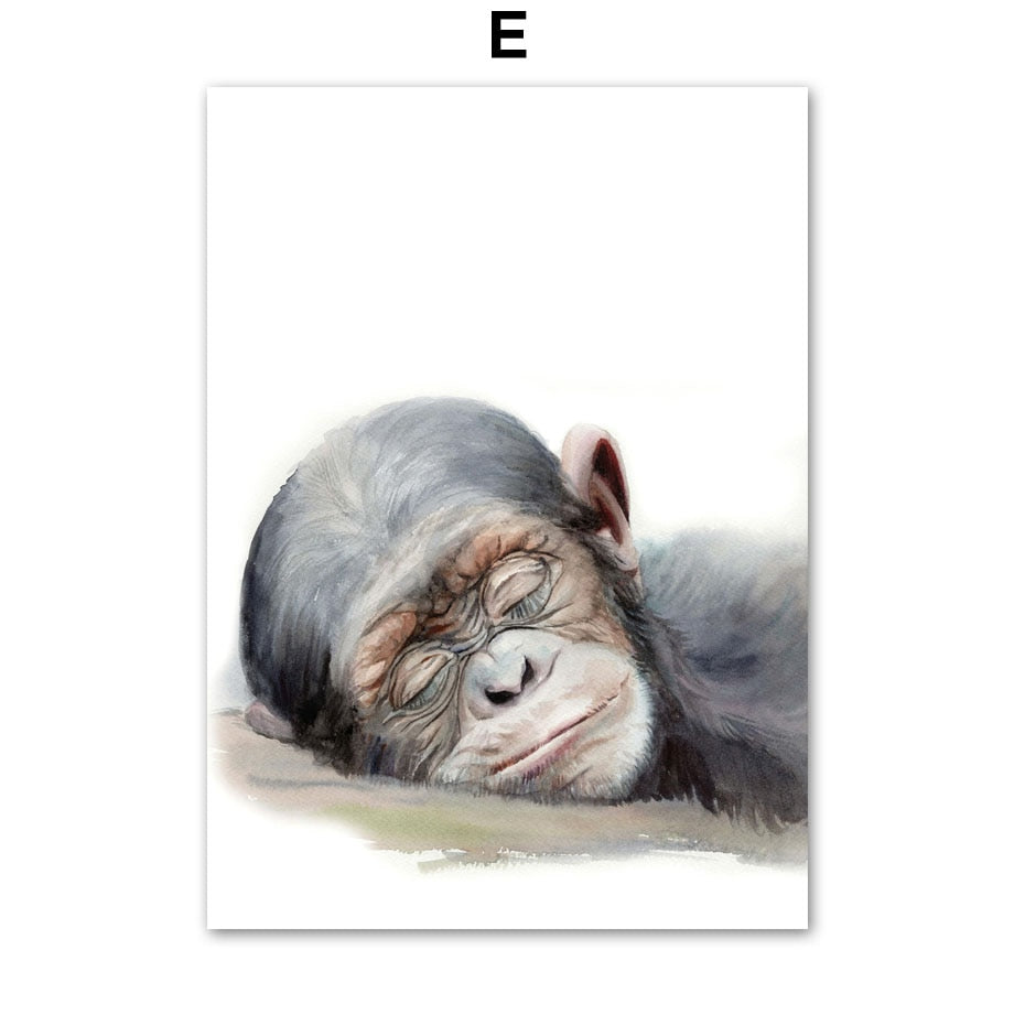 Cute Sleeping Animal Canvas Art