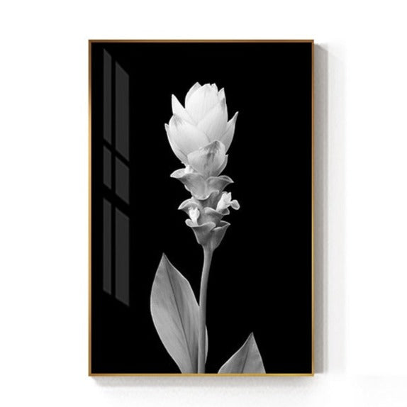 Black And White Tulip Flower Canvas Art