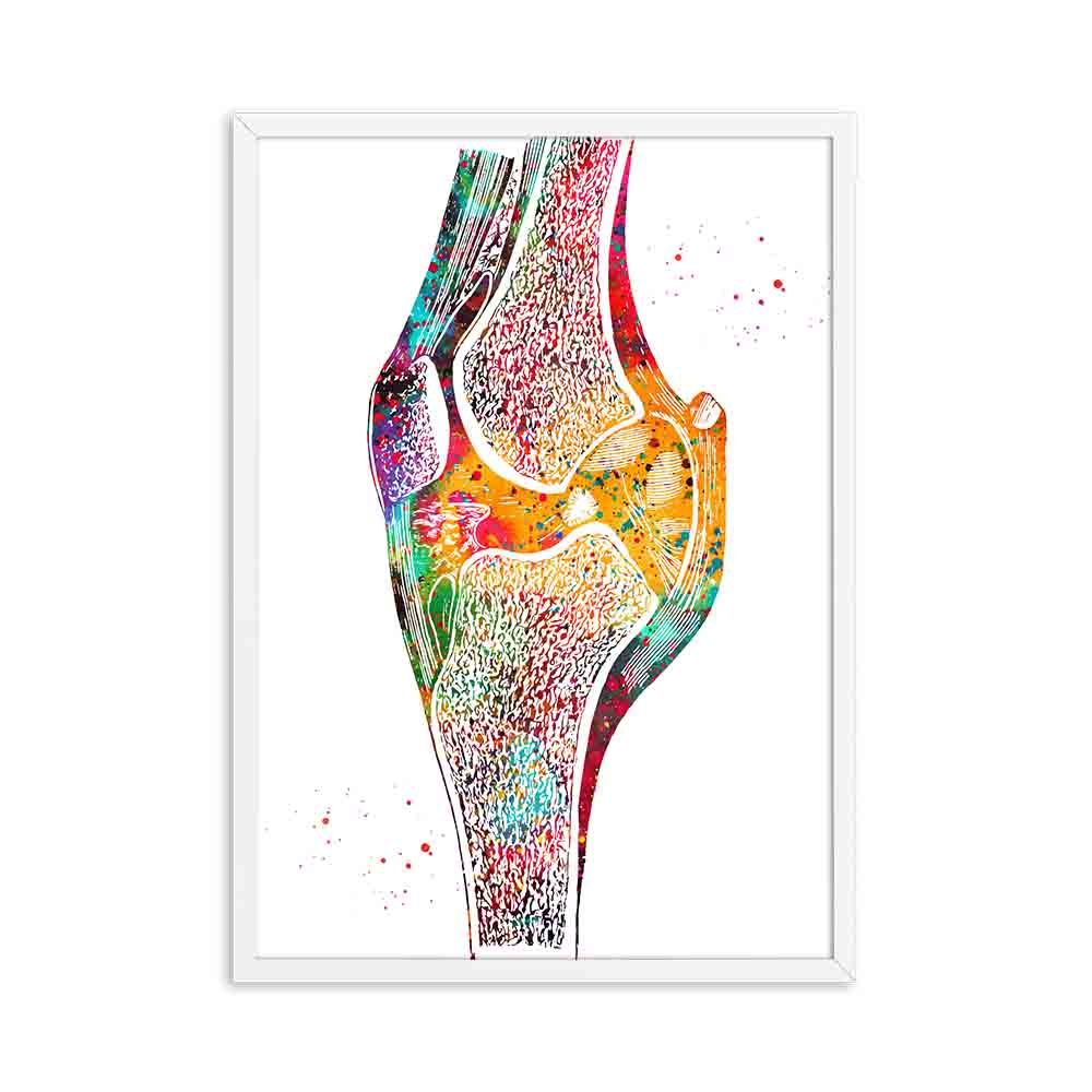 Human Anatomy Muscles System Canvas Art