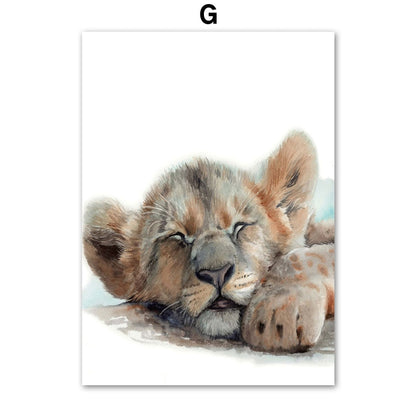 Cute Sleeping Animal Canvas Art