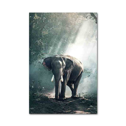 Peacock Elephant Cheetah Canvas Art