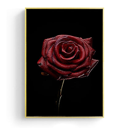 Withered Rose Canvas Art