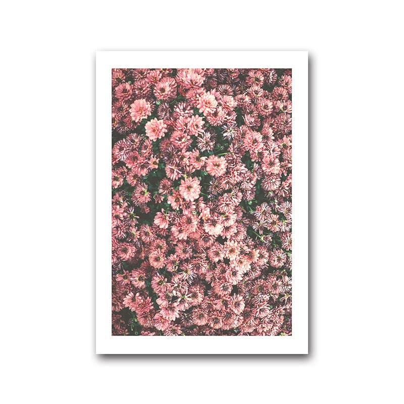 Pink Flower Cactus Canvas Art