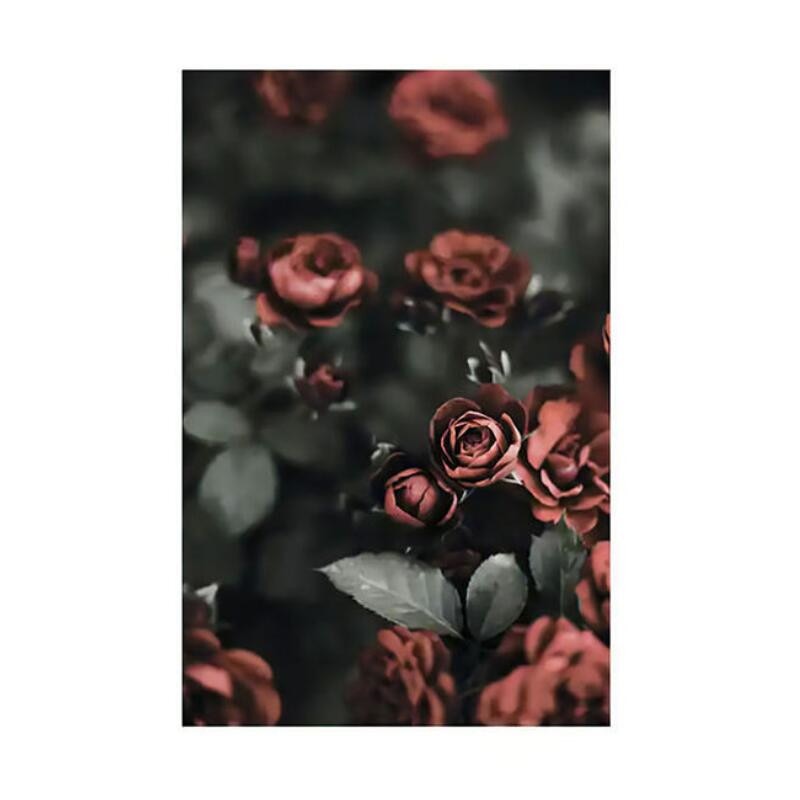 Red Flower Peony Rose Canvas Art