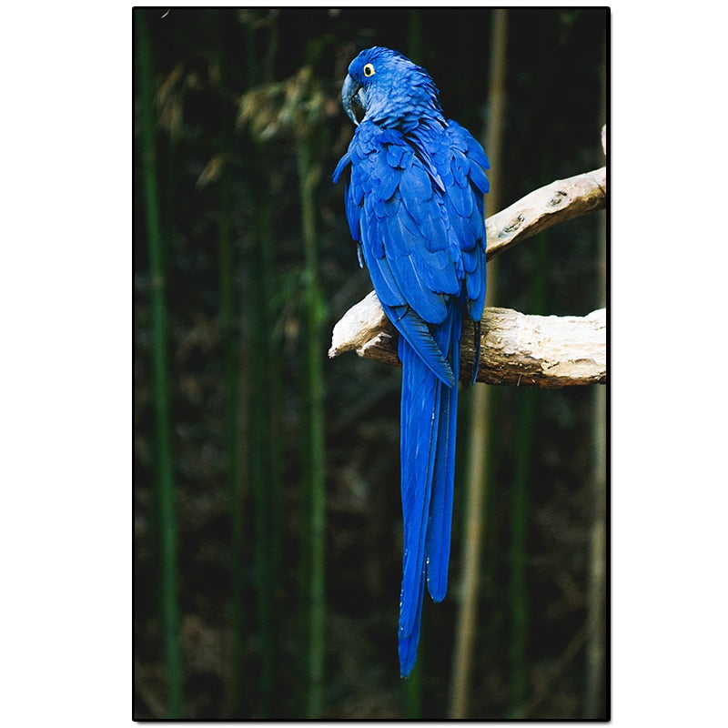 Graceful Birds Canvas Art