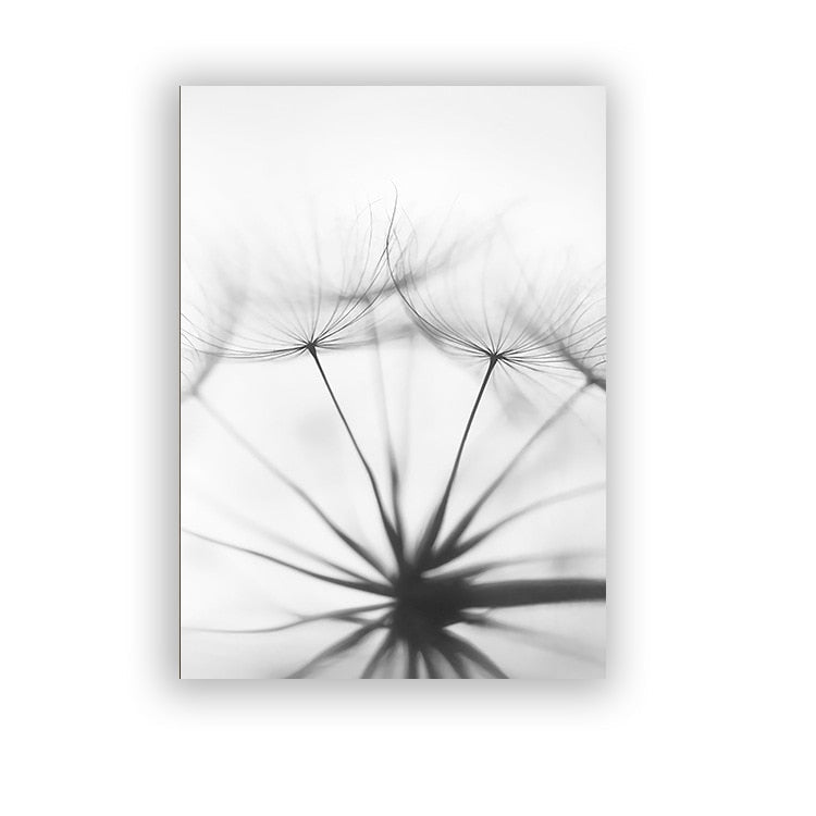 Black And White Dandelion Canvas Art