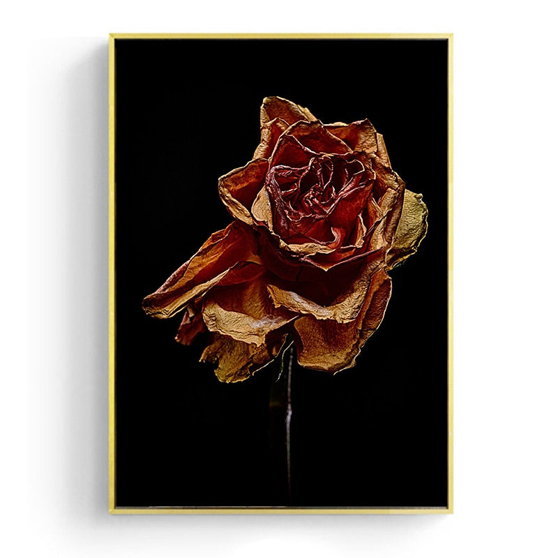 Withered Rose Canvas Art