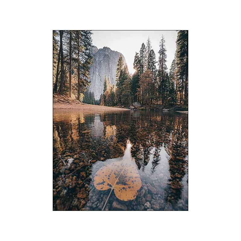 Autumn Scenery Canvas Art