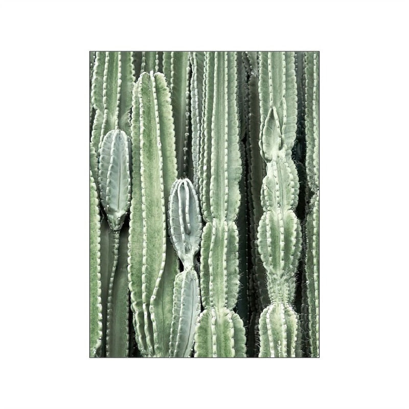 Desert Landscape Cactus Canvas Art