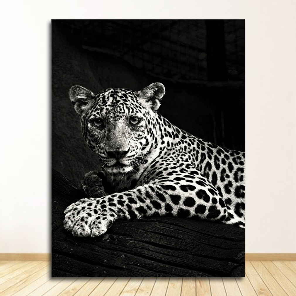 Black and White Animal Wall Art Canvas