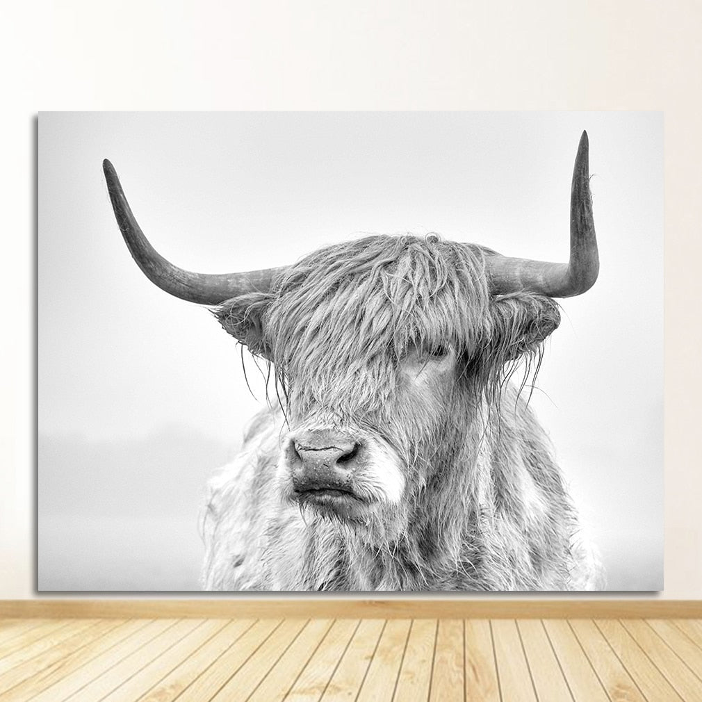 Black and White Yak Highland Cow Canvas Art