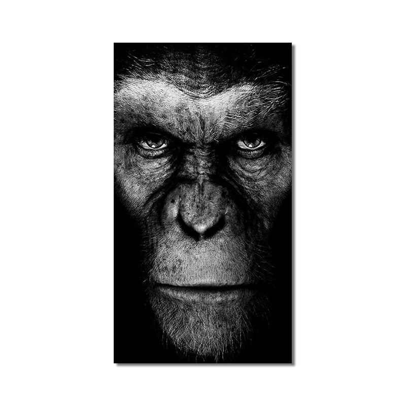 Black Gorilla Canvas Art