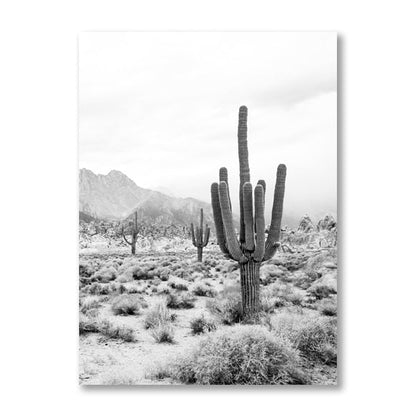 Black And White Cactus Desert Canvas Art