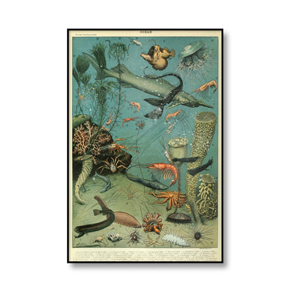 Retro Ocean Sea Shell Fish Animal Canvas Art