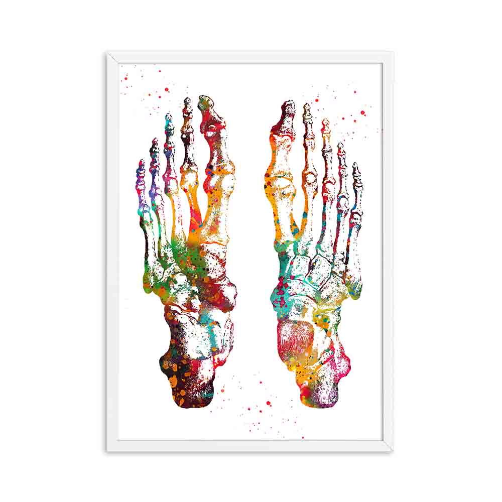 Human Anatomy Muscles System Canvas Art