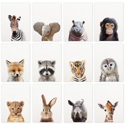 Cute Animal Canvas Art