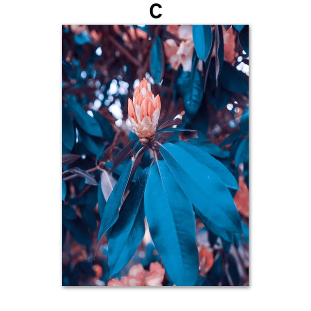 Orange Flower Blue Leaf Canvas Art