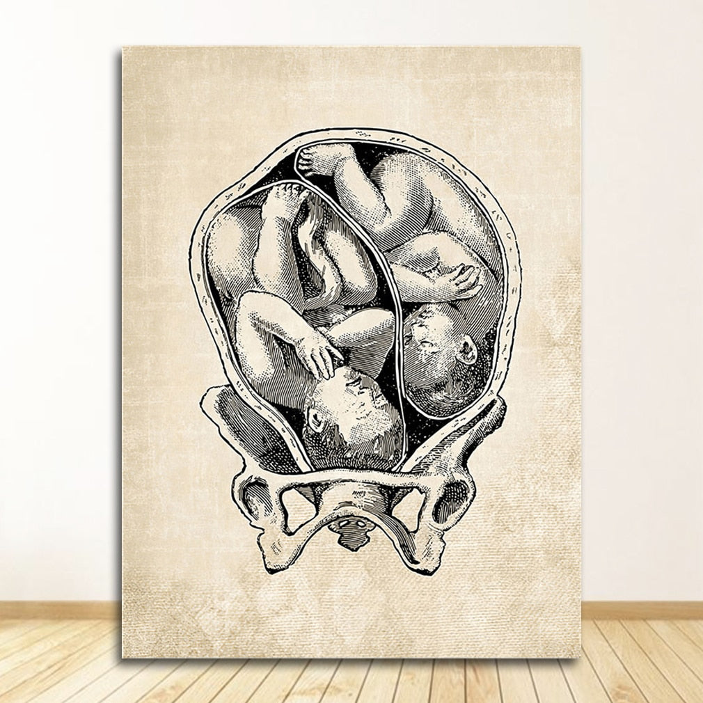 Vintage Anatomy Canvas Art