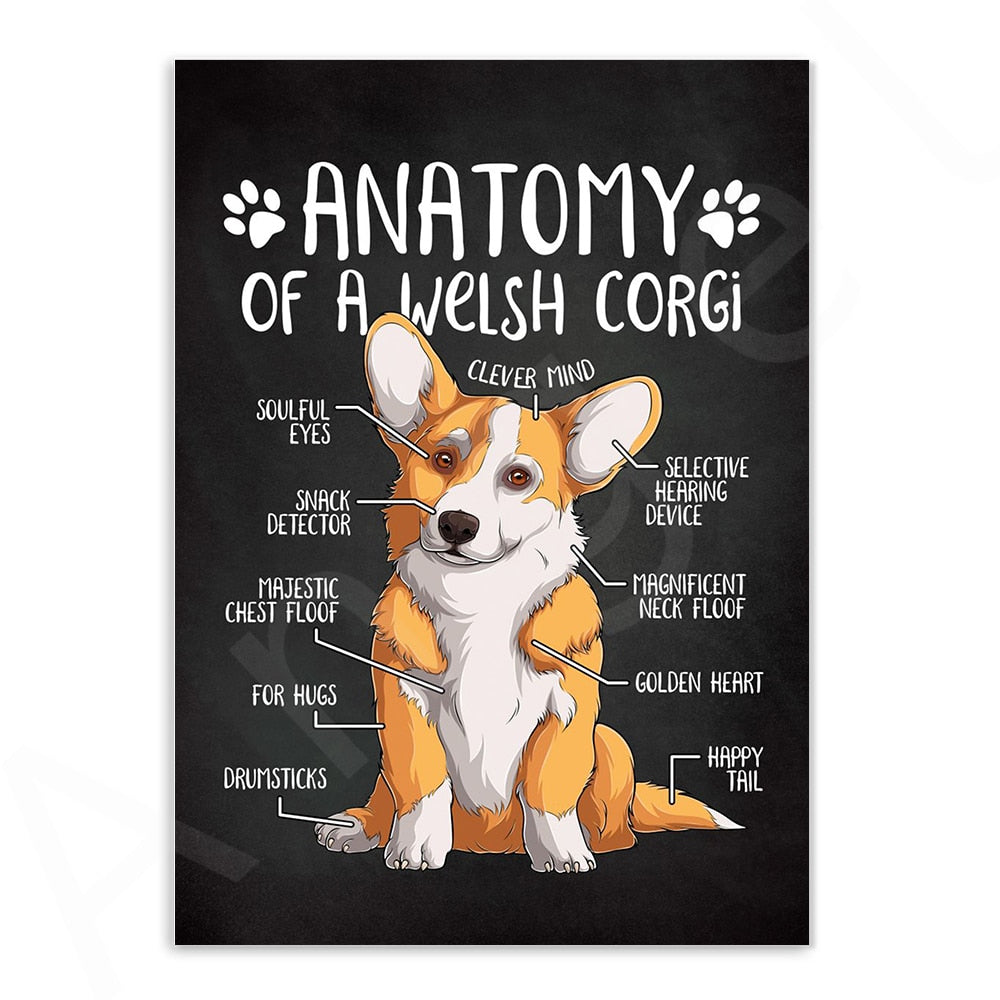 Anatomy of Dogs Canvas Art